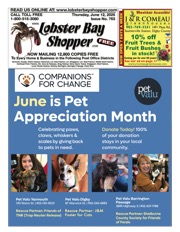 LobsterBayShopper763