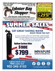 LobsterBayShopper764